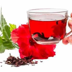Korisna svojstva karkade čaja i kontraindikacija. Kako skuhati i kako ga piti?
