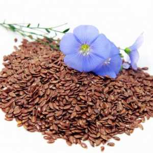 Korisna svojstva lanenog sjemena. Metode primjene, recepte, kontraindikacije