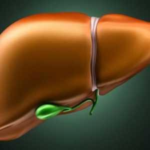 Polikistička bolest jetre: simptomi i liječenje