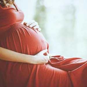 Polip tijekom trudnoće: uzroci, simptomi, liječenje, posljedice