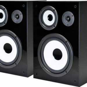 Yamaha NS 6490 zvučnici: specifikacije i recenzije