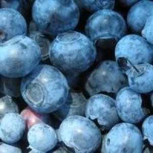 Prednosti bobica i njihov kalorijski sadržaj: borovnice