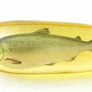 Prednosti ribljeg ulja za žene: preporuke, kontraindikacije