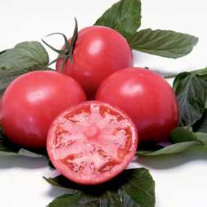 Tomato `mikado`: opis sorte, obilježja uzgoja i brige, recenzije