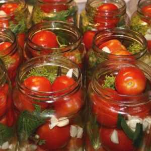 Rajčice s vrhovima mrkve: najbolji recepti