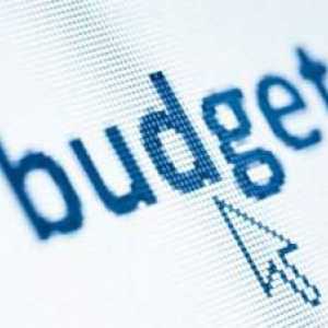 Koncept proračuna, njegova suština. Članci proračuna. Državni i lokalni proračun
