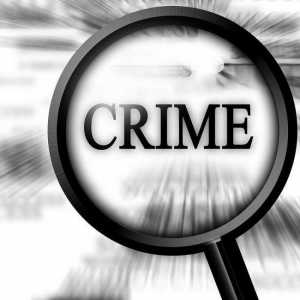 Koncept, oblike i vrste suučesništva u zločinu