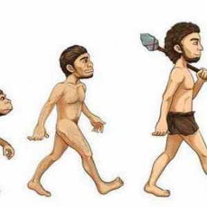 Koncept "evolucije" u filozofiji