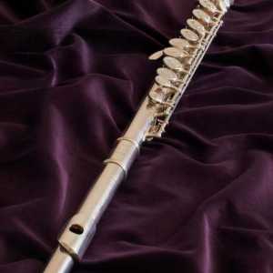 Transverzalna flauta i njegove osobine