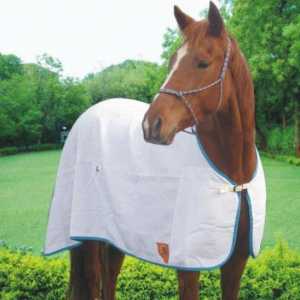 Horsecloth za konja: mi se šivati