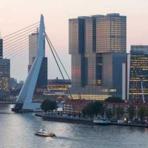Luka Rotterdam: povijest, opis, atrakcije