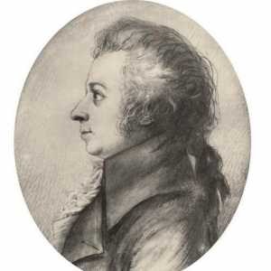 Portret Mozarta - genija čiste ljepote