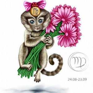 Nevjerojatan i nepredvidljiv Djevica-majmun