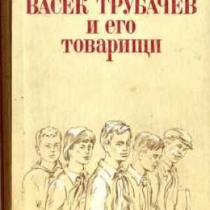 Priča o V. Oseevama "Vasek Trubachev i njegovi drugovi": sažetak, likovi