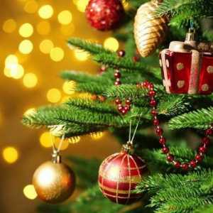 Čestitamo na Novoj godini i Božiću. Ruska Nova godina i Božić: tradicije blagdana
