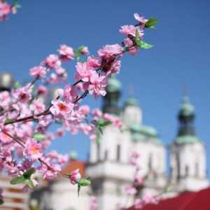 Prag u svibnju: vrijeme i recenzije turista. Što vidjeti u Pragu u svibnju?