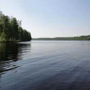 Pravdinskoe jezero: opis, ribolov, fotografija
