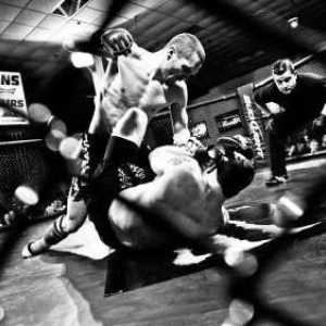 Pravila MMA: bori se bez pravila, ili mješovite borbene borilačke vještine