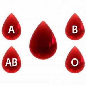 Pravila za određivanje tipa krvi prema ABO sustavu