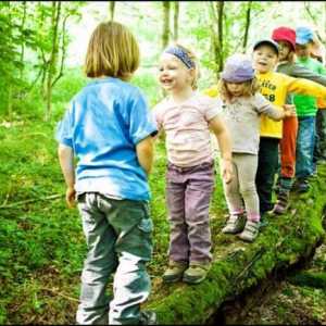 Pravila ponašanja u šumi za djecu