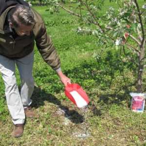 Pravilno hranjenje drveća i grmlja u proljeće