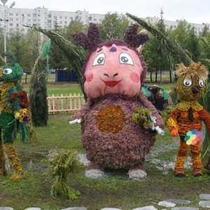 Festival cvijeća u Naberezhnye Chelny - ekstravagancija svečane magije