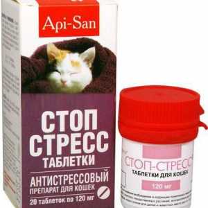 Lijek za mačke `Stop-stress `: opis, upute o primjeni i pregled veterina