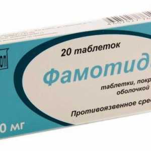 Lijek `Famotidine`: upute za uporabu, upute, opis i recenzije