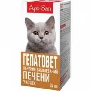 Lijek "Hepatovet" za mačke: upute i doze