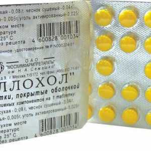 Lijek "Iberogast": jeftini analog, upute za uporabu, indikacije i recenzije