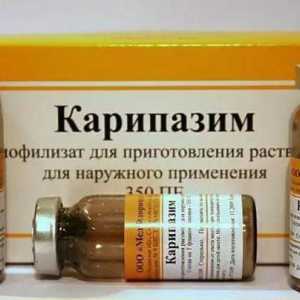 Lijek `Karipazim`. Elektroforeza - što je to?