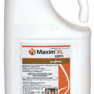 Liječnik `Maxim`, sjeme sredstava za pranje: upute za uporabu