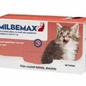 Lijek `Milbemax`: upute za uporabu, indikacije za pse
