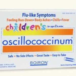 Oscillococcinum: analog. Kako mogu zamijeniti Oscillococcinum?