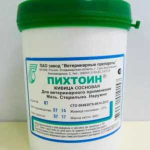 Lijek "Pikhtoin" (mast) za životinje: upute za uporabu