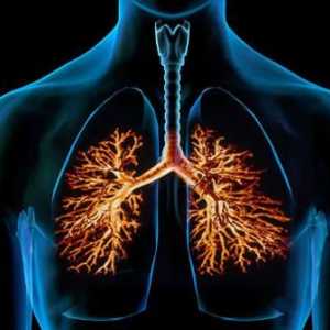 Uzroci i simptomi kroničnog opstruktivnog bronhitisa. Dijagnoza i liječenje