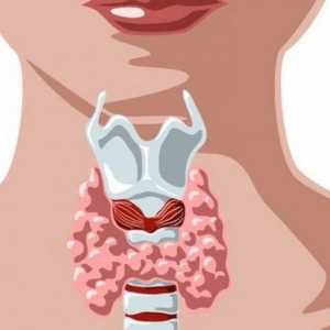 Uzroci, simptomi, dijagnoza i liječenje postpartum thyroiditis