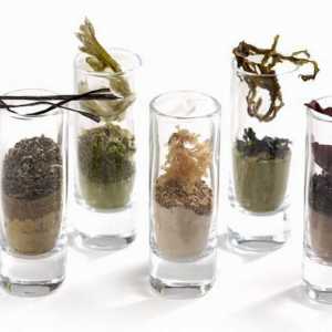 Primjena alga u prahu. Alge u kozmetici i kulinarstvu