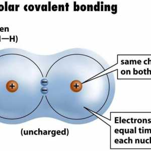 Primjer nepolarne kovalentne veze. Kovalentna veza polarna i nepolarna