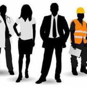 Primjeri radnog prava: opis, značajke i načela