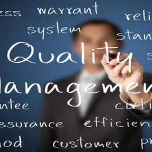 Načela upravljanja kvalitetom. Standardi za sustave upravljanja kvalitetom ISO 9000