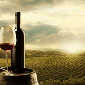 Načela kombiniranja vina i hrane: spoj i kontrast okusa. Meso - crno vino, riblje - bijelo vino