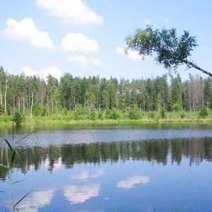 Природа Беларуси – уникальное наследие реликтовой экосистемы