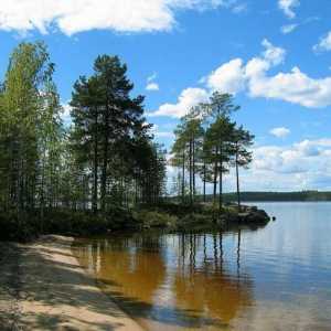 Природа Ленинградской области. Особенности природы Ленинградской области