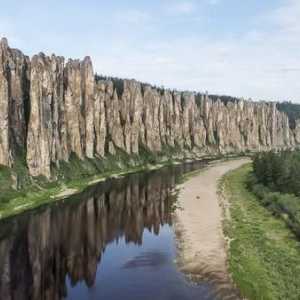 Priroda regije Perm. Biljke i životinje regije Perm