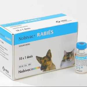 Cijepljenje "Nobivak Rabies". instrukcija