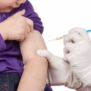 Cijepljenje protiv upale pluća: recenzije. Cijepljenje protiv upale pluća za djecu: povratna…