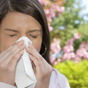 Znakovi alergije kod odraslih osoba. Proljetna alergija