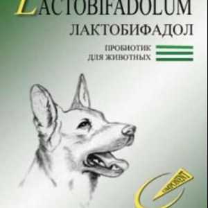 Probiotik `Lactobyfadol` za pse
