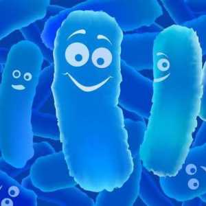 Probiotici za djecu: imena. Popis najboljih probiotika za djecu